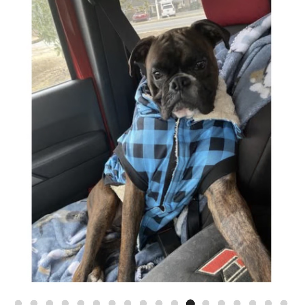 NWOT Plaid Dog Jacket